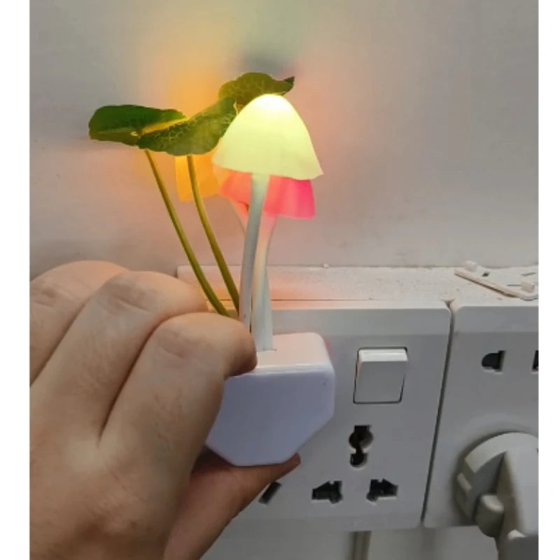 🍄 Kouzelné houbové zářivé světlo
